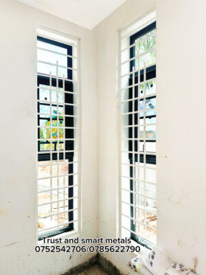 French-Windows